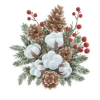 aquarelle Noël coton pin cône houx bouquet main tiré illustration png