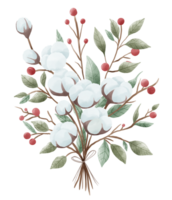 acuarela Navidad algodón pino cono acebo ramo de flores mano dibujado ilustración png