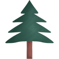 acquerello albero di natale png