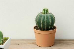 Cactus in minimalist pot. background. AI Generative Pro Photo