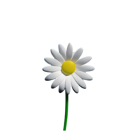 Daisies  White Cute AI Generative png