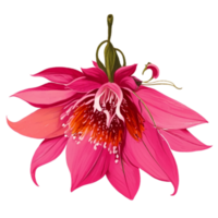 fucsia flor naturaleza ai generativo png