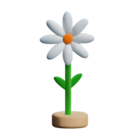 Daisies  White Cute AI Generative png