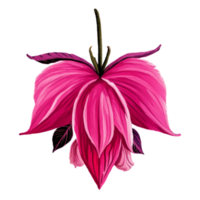 fucsia fiore natura ai generativo png