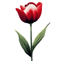 tulipán rojo flor ai generativo png