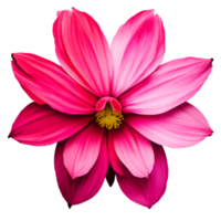 Fuchsia Flower Nature AI Generative png