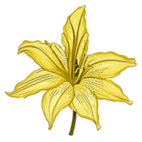 lirio flor amarillo ai generativo png