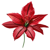 Lily Red Flower AI Generative png