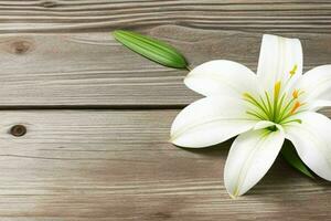 lily flower. background. AI Generative Pro Photo