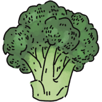 Broccoli illustration. Doodle vegetable. food ingredient. menu board png