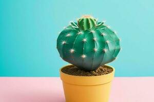 Cactus in minimalist pot. background. AI Generative Pro Photo