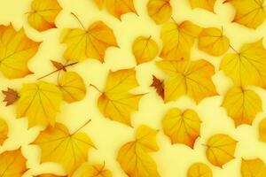 Autumn background with colored leaves. AI Generative Pro Photo