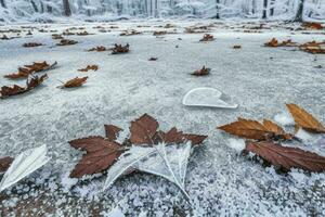 Frosty fallen leaves with shiny ice frost in snowy forest park. background. AI Generative Pro Photo