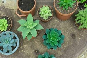 top view a close up of plants in pots on a table. background. AI Generative Pro Photo