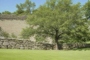 Stone rock wall with a tree background. AI Generative Pro Photo