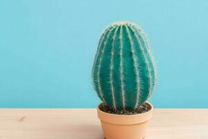 Cactus in minimalist pot. background. AI Generative Pro Photo