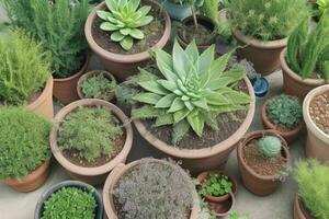 top view a close up of plants in pots on a table. background. AI Generative Pro Photo