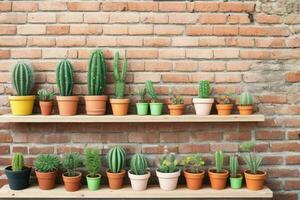 Shelves with different combinations of cactus and pots. background. AI Generative Pro Photo