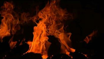 vuur vlammen op zwarte achtergrond, bles vuur vlam textuur achtergrond, prachtig, het vuur brandt, vuur vlammen met hout en koemest vreugdevuur video