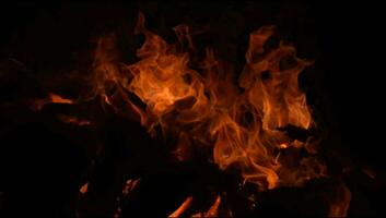 chamas de fogo em fundo preto, fundo de textura de chama de fogo de chamas, lindamente, o fogo está queimando, chamas de fogo com fogueira de madeira e esterco de vaca video