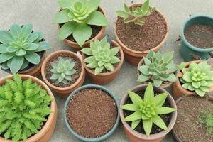 top view a close up of plants in pots on a table. background. AI Generative Pro Photo