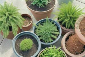 top view a close up of plants in pots on a table. background. AI Generative Pro Photo