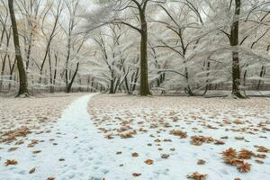 fallen leaves in snowy forest park. background. AI Generative Pro Photo