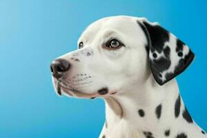 Photo of dalmatian dog. AI Generative Pro Photo