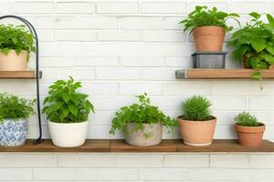 Shelves with different combinations of plants and pots. background. AI Generative Pro Photo