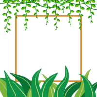 green leaves plant and vines with square frame border copy space for text, illustration. fronds square frame, border. flat design, tropical plant transparent background, element, jungle flora png