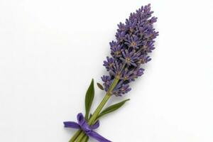 lavanda flor. antecedentes. ai generativo Pro foto