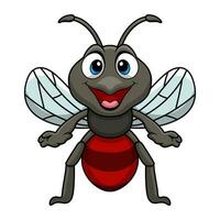 Cute mosquito cartoon on white background vector