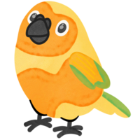 adorável Sol conure papagaio.fofo animal de estimação.criativo com ilustração dentro plano Projeto. png