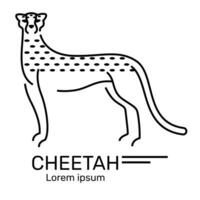 Cheetah standing with a graceful stance, Logo, Icon on white background. Vector design illustration.