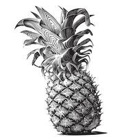 Pineapple fruit sketch hand drawn in doodle style vector