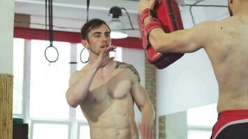 muscular pontapé boxer trabalhando Fora sem camisa fazendo Alto chutes em chutando almofadas video