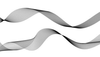 Lines for the Background. Black Stripes on a White Background. Set of Wavy Lines. Multiple Line Waves. Grey Waves with Lines. Vector Waves Set. Curved Wavy Line, Smooth Stripe.