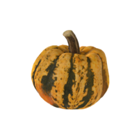 pumpkin on transparent background png