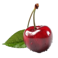 Cherry png isolated red berry fruit png fresh Cherry fruit Red Cherry transparent background, AI Generated