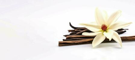 Dried aromatic vanilla sticks with flower. Generate ai photo