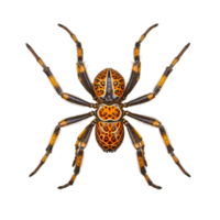 Spider tarantula arachnid animal. Generative Ai png