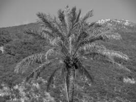 corfu island in greece photo