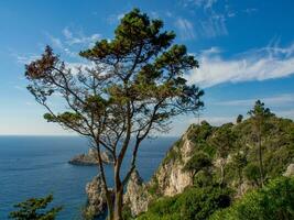 the island of corfu photo