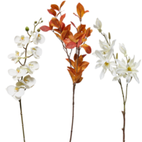 flower with branches cut out isolated transparent background png