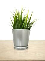 green plants in pots decorative plant pots On a wooden table, white background photo