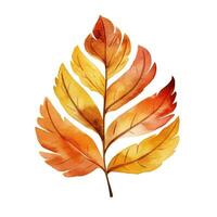 Bright watercolor autumn leaf. Illustration, single element on white background photo