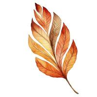 brillante acuarela otoño hoja. ilustración, soltero elemento en blanco antecedentes foto