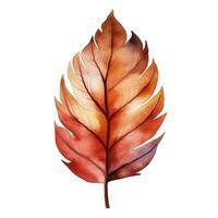 Bright watercolor autumn leaf. Illustration, single element on white background photo