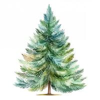 Watercolor illustration of a simple green spruce. Christmas clipart, New Year, holiday, forest photo