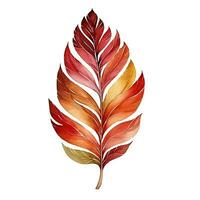 Bright watercolor autumn leaf. Illustration, single element on white background photo